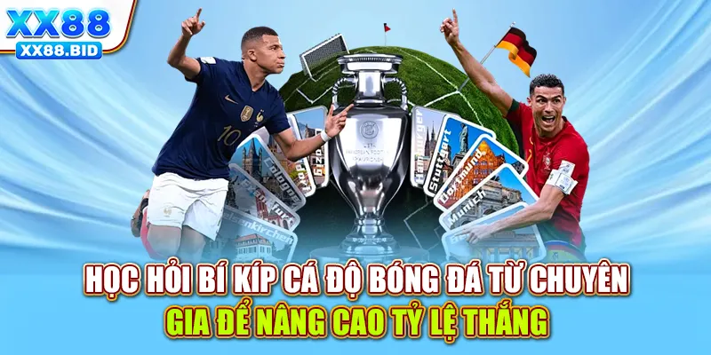 Học hỏi bí kíp cá độ bóng đá từ chuyên gia để nâng cao tỷ lệ thắng