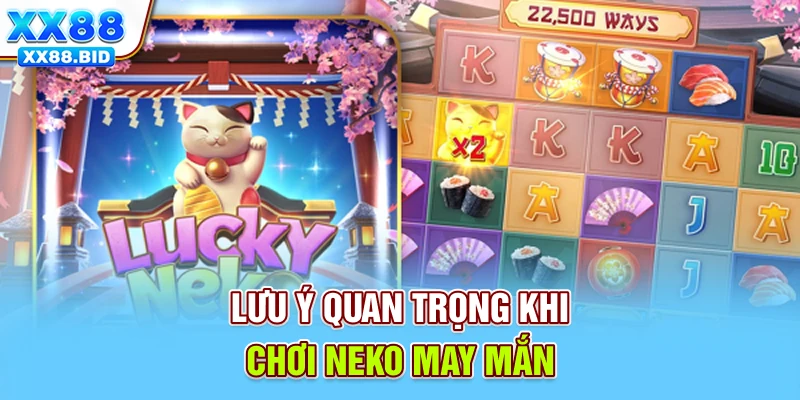 Lưu ý quan trọng khi chơi neko may mắn
