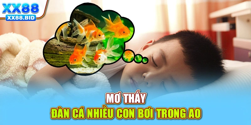 Mơ thấy đàn cá nhiều con bơi trong ao