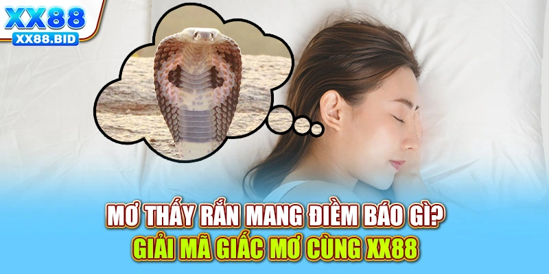 Mơ Thấy Rắn Mang Điềm Báo Gì? Giải Mã Giấc Mơ Cùng XX88