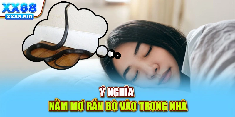 Ý nghĩa đằng sau giấc mơ thấy rắn thường gặp